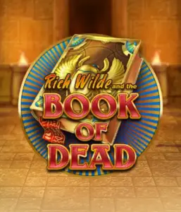 Погрузитесь в захватывающий мир Book of Dead от Play'n GO, демонстрирующий яркую графику путешествия Рича Уайлда по древнеегипетским гробницам и артефактам. Откройте затерянные богатства с пленяющими механиками, такими как бесплатные вращения, расширяющиеся символы и возможность игры на риск. Идеально для любителей приключений, желающих волнующих находок.